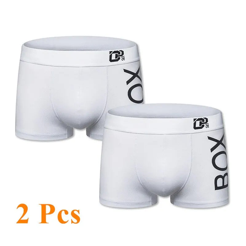 M&T Wear - Men's Boxer Sexy Underwear Soft Long Cotton Soft Underpants Male Panties 3D Pouch Shorts Under Wear Pants Short