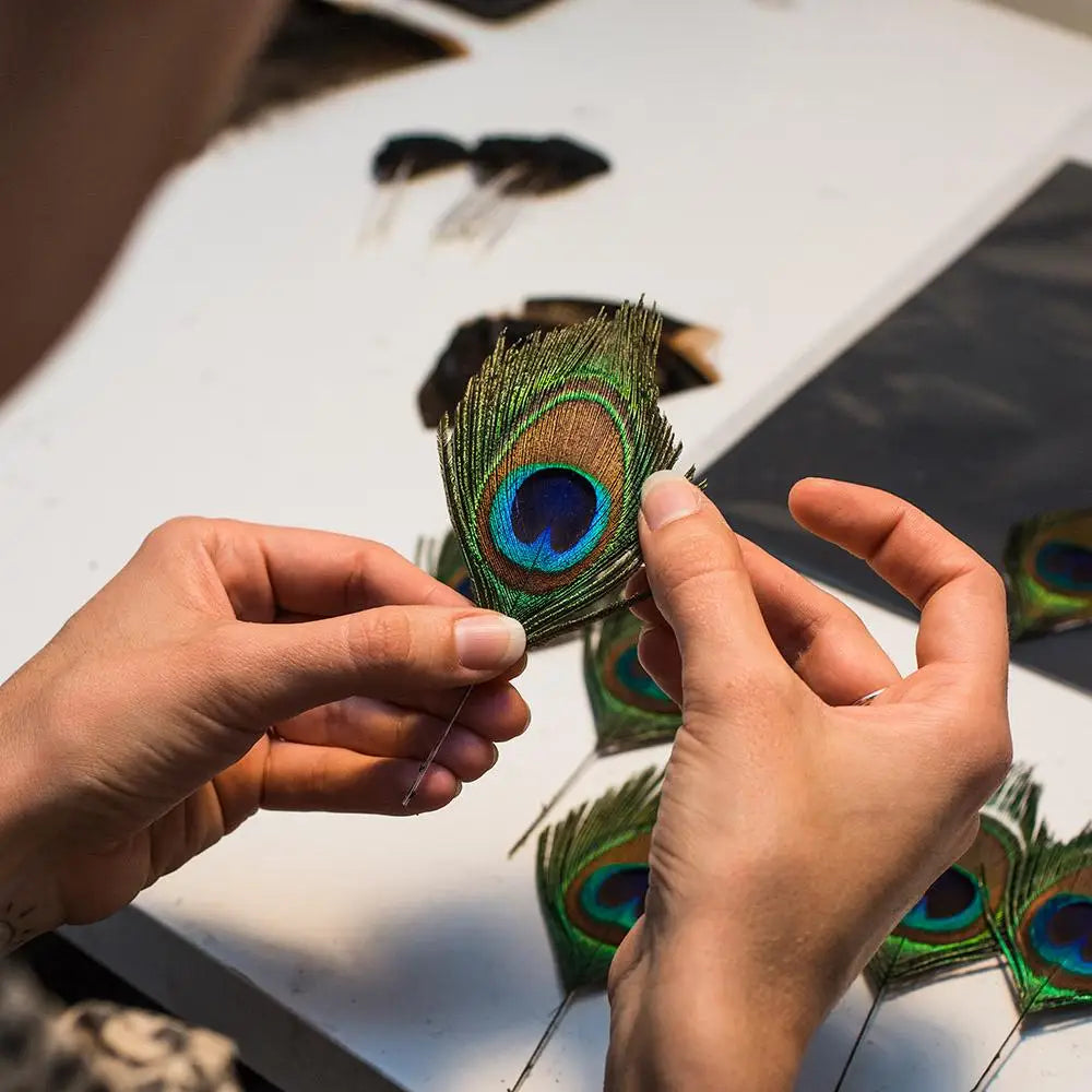Wedding Bow Tie for Men Classic Burgundy Pre-tied Bowtie brooch wooden box Set for Party Show Butterfly Knot Groom best man Gift