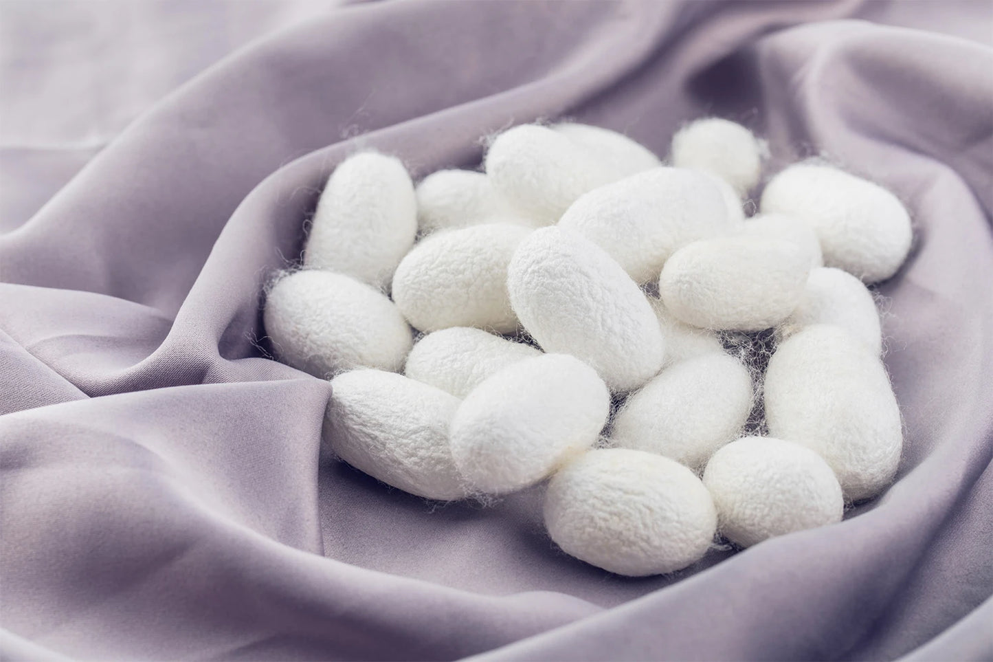 Hi-Tie 60 Color Classic Bow Ties for Men Silk Butterfly Pre-Tied Male Bowtie Pocket Square Cufflinks Set Jacquard Paisley Floral