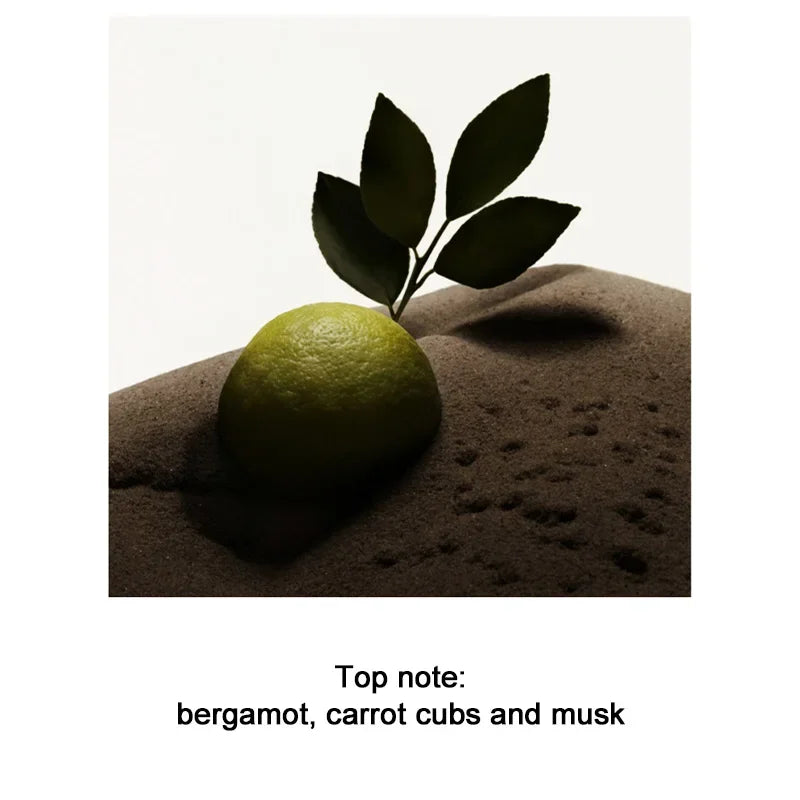 M&T Wear – Ebony Sandalwood Men’s Perfume (100ml)