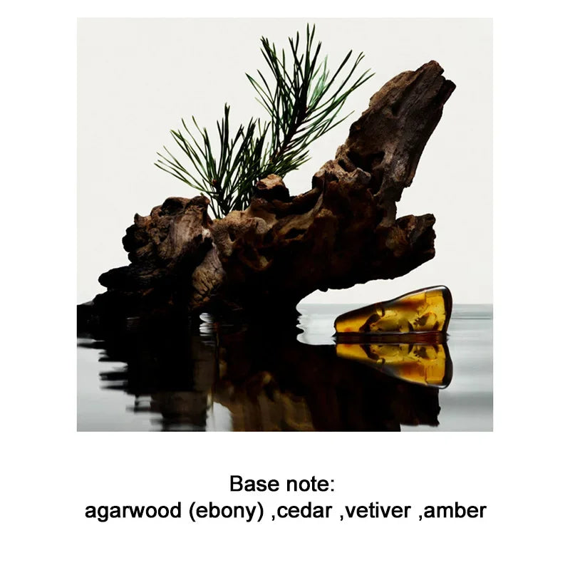 M&T Wear – Ebony Sandalwood Men’s Perfume (100ml)